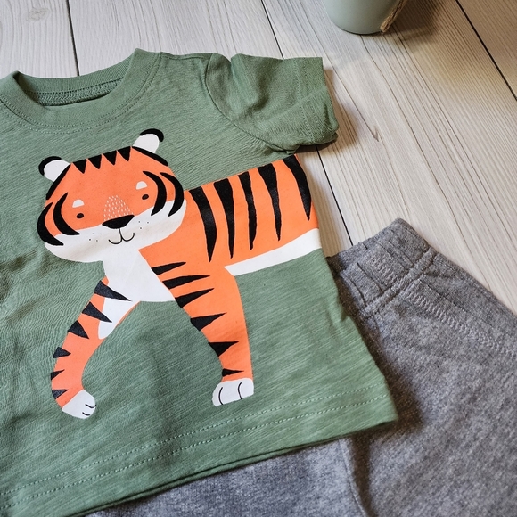 Carter's green short sleeve shirt with grey shorts 2 piece set Size 3 mo NWT - Picture 3 of 8